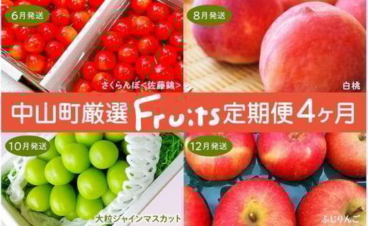 
            【令和8年産先行受付】山形県中山町の至高！山形県中山町厳選フルーツ定期便　全4回
          