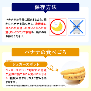 【先行予約・2024年11月発送】吹田バナナ【大阪府吹田市】〈バナナ 1kg～1.25kg（5 - 12本程度）有機栽培 皮ごと食べられる！極上バナナ  おすすめバナナ 国産 環境へのこだわり 最高級