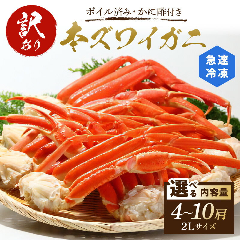 【ふるさと納税】【訳あり！カニ酢付】急速冷凍／ボイル済み 本ズワイガニ 2L 4肩 6肩 10肩 選べる内容量 海鮮 かに カニ 蟹 本ずわいがに ズワイ蟹 ボイル 蟹足 カニ鍋 ふるさと納税 ズワイガニ 訳あり ふるさと納税 カニ ボイル