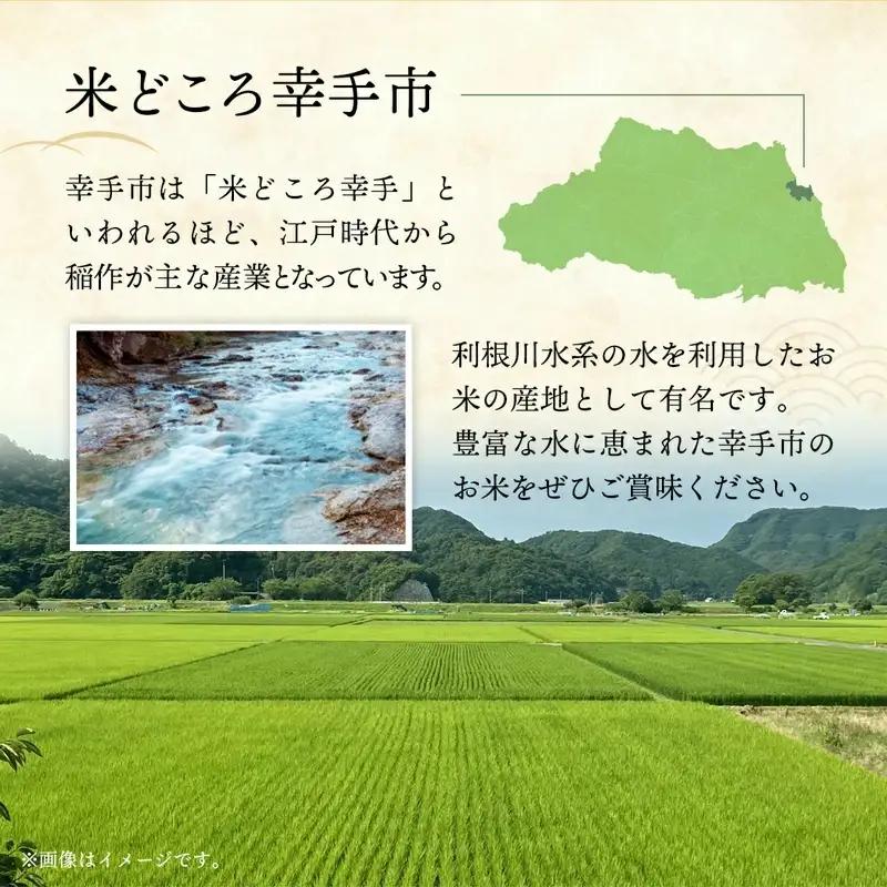 令和7年産【彩のきずな】玄米10kg 色彩選別済 Brown Rice - お米 ごはん