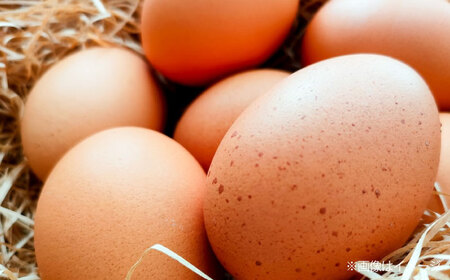 天心山 たまご 40個（10個入り×4パック） 卵 たまご 高級 食品 たまごかけご飯 卵かけご飯 卵焼き 生卵 濃厚 ケーキ お菓子 づくり ランキング 上位 人気 おすすめ 　広島県福山市/天心山