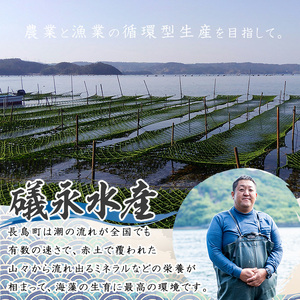 礒永水産の乾燥あおさ 60g_iso-7101