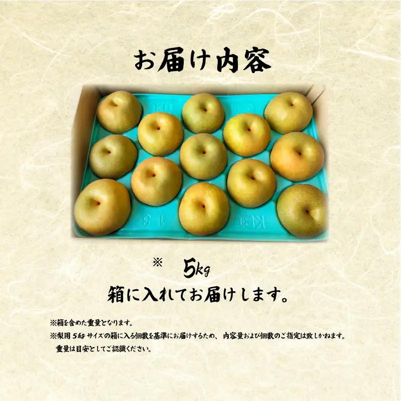 【2026年8～9月発送】 梨 5kg フルーツ 果実 くだもの 竜王産 滋賀県 竜王町 送料無料 期間限定 数量限定