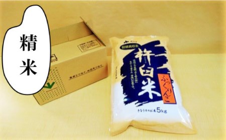 【精米6ヶ月定期便】特別栽培「きなうす米」ふっくりんこ5kg×6回