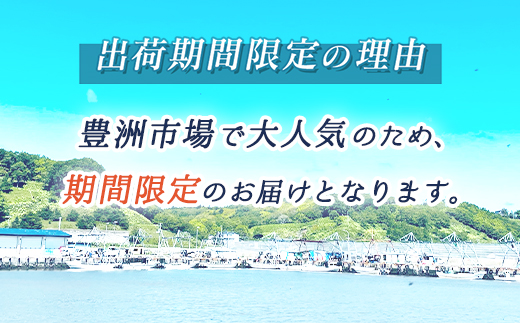 仙鳳趾名産 むき牡蠣 500g×2コ K5-6 豊洲市場で大人気のため期間限定出荷 北海道 釧路町 仙鳳趾 かき漁師直送 剥き 牡蠣 むき身 剥き身