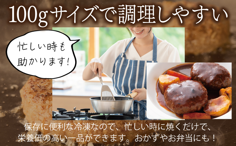 【馬肉ブレンド】レディースハンバーグ 総量3kg (100ｇ×30個) 【桜文 馬肉 惣菜 冷凍 牛肉 はんばーぐ 一人暮らし 弁当 個包装】 G2945