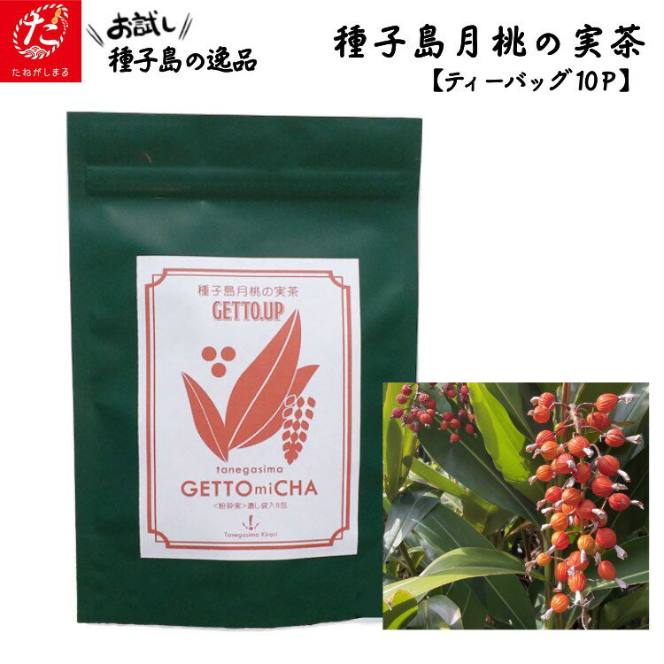 【ふるさと納税】【たねがしまる4000】種子島 月桃の実 茶＜40g＞1袋セット 月桃 ゲットウ