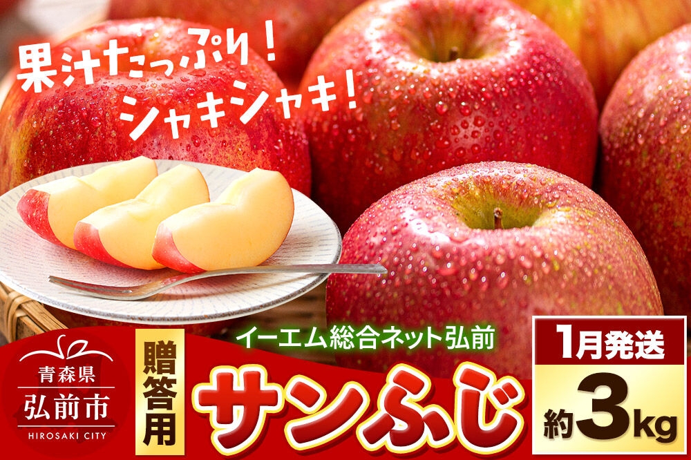 
                  【27年1月発送】りんご サンふじ【贈答用】約3kg 糖度13度以上 EMりんご 林檎 リンゴ 果物 くだもの フルーツ 先行受付 青森県 弘前市 贈り物 ギフト [先行予約 産地直送 アップル 青森県 弘前市]
                
