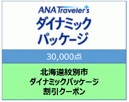 100-71 北海道紋別市　ANAトラベラーズダイナミックパッケージ割引クーポン30,000点分