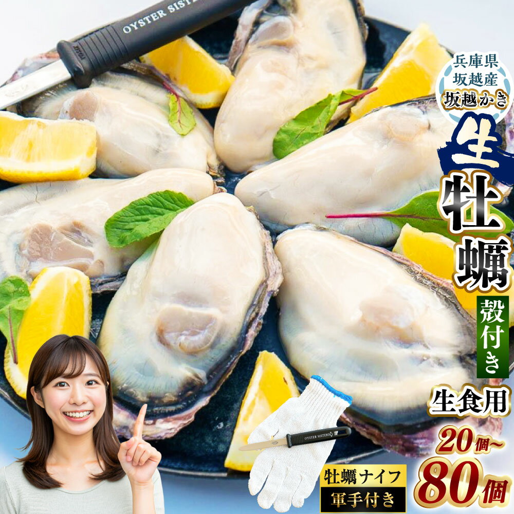 【ふるさと納税】＜選べる個数＞ 坂越かき 殻付き 20個 ・ 30個 ・ 50個 ・ 80個（牡蠣ナイフ・軍手付き） ／ 牡蠣 かき カキ オイスター サムライオイスター 生牡蠣 生かき 生カキ 生ガキ 生がき 魚介 貝 海産物 生食 ギフト 坂越湾 兵庫県 赤穂市 冷蔵 送料無料