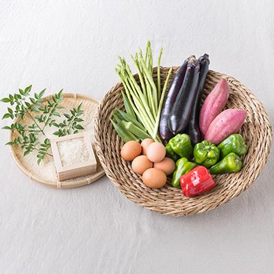 ふるさと納税 松浦市 道の駅松浦海のふるさと館『旬のお野菜+産みたて濃厚玉子6個+お米5kg』の大満足セット! |  | 02
