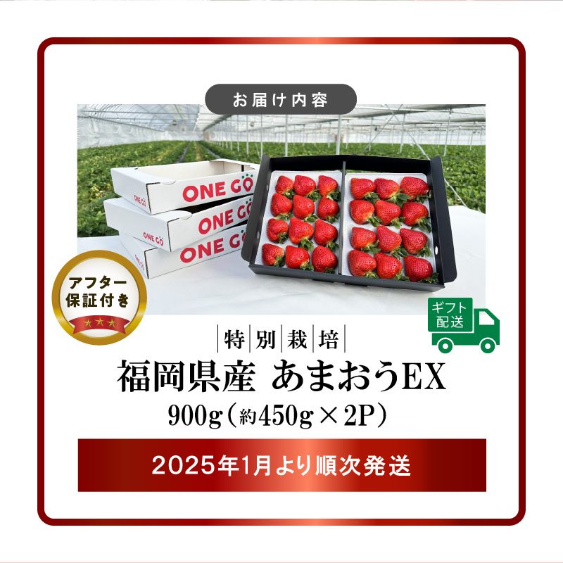 【2025年1月より順次発送】 ギフト配送 約450g×2パック EX 福岡県産あまおう〈特別栽培〉