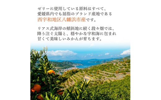 ＜発送月固定定期便＞みかん寒天ゼリー定期便～毎月1品種8本 全12回＜H25-110＞【4012159】 YWTAP055