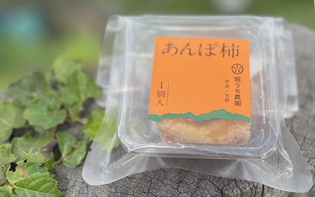 【 堀内果実園 】 優しい甘さ あんぽ柿 ギフト セット 10個｜フルーツ 果物 くだもの 柿 干し柿 かき カキ お菓子 あんぽ柿 和菓子 奈良県 五條市 凝縮 お取り寄せ グルメ 送料無料 極上 