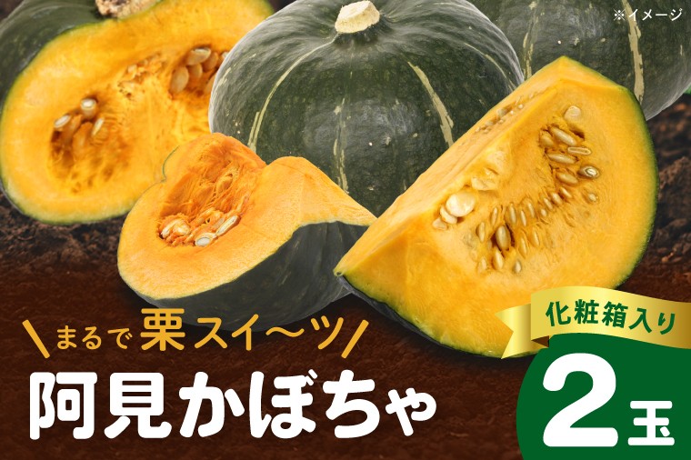 
                  阿見かぼちゃ ２玉 化粧箱入り 高糖度 国産 甘い 夏限定 旬 ホクホク 野菜 煮物 天ぷら 南瓜 人気 産地直送 ギフト 茨城県 阿見町【先行予約｜2026年6月下旬より発送】（87-02）
                