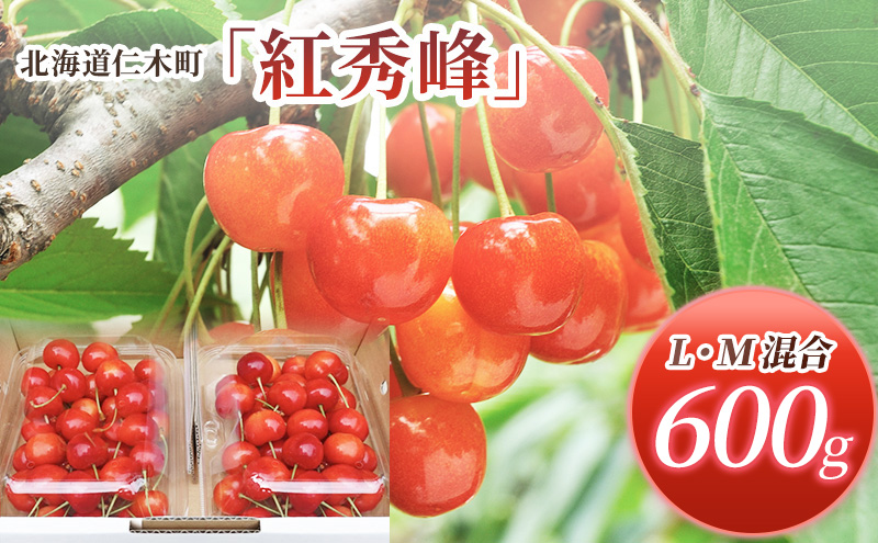 北海道 仁木町産 さくらんぼ 紅秀峰 600g (300g×2パック) L-Mサイズ 混合　旬 桜桃 産地直送 サクランボ チェリー フルーツ 果物 果物類 ギフト 仁木町 仁木 [松山商店]