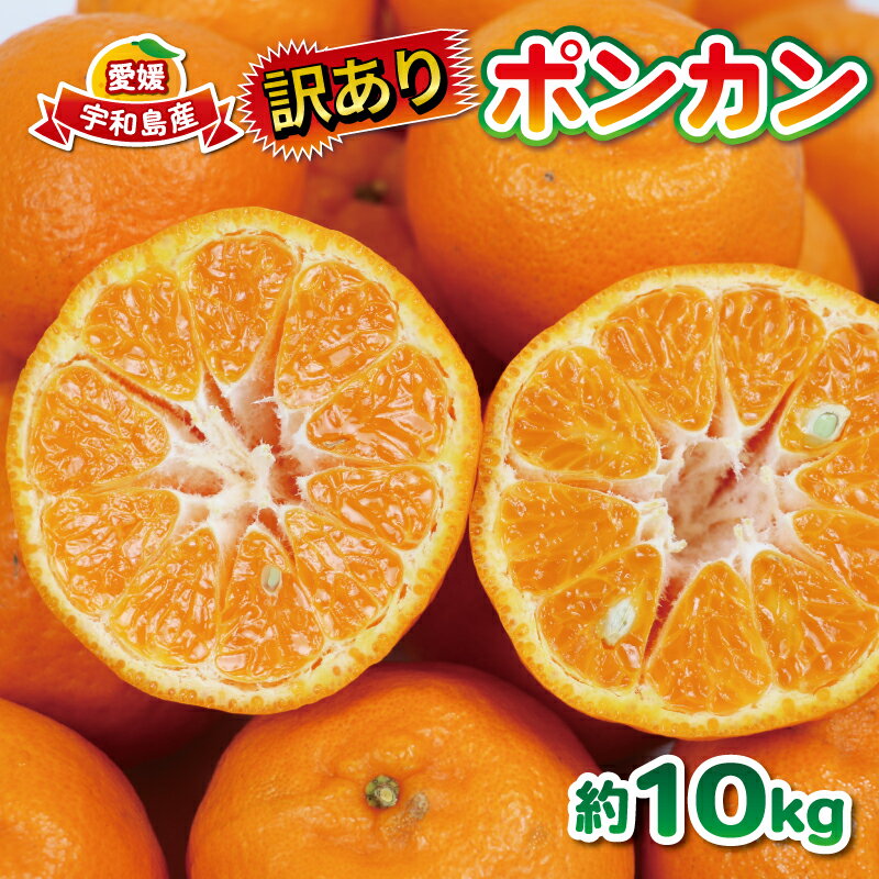 【ふるさと納税】 ポンカン 訳あり ぽんかん 10kg 大田農園 みかん 先行予約 果物 フルーツ 柑橘 みかん ミカン mikan 愛媛みかん 愛媛ミカン 愛媛密柑 密柑 ジューシー 爽やか 果物 くだもの デザート 数量限定 産地直送 農家直送 国産 愛媛 宇和島 B012-121001