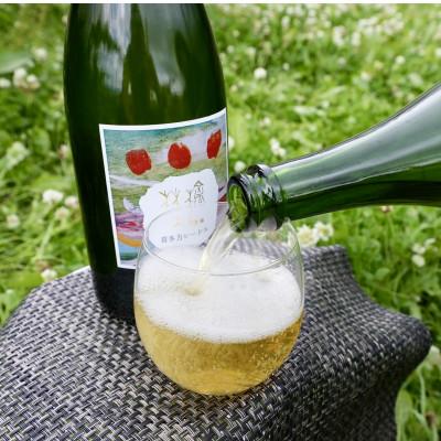 ふるさと納税 喜多方市 WINERY JUN【福島の恵み　りんごとぶどう酒(Bセット)】750ml×2本 |  | 02