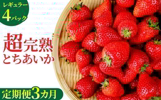 【先行受付：1月中旬以降発送】＜3回定期便＞いちご 「茂木完熟いちご」　矢野農園 とちあいか 大粒 約270g × 4パック 合計 約1080g | いちご イチゴ 苺 とちあいか 完熟 甘い あまい 果物 フルーツ 矢野農園 栃木県 茂木町
