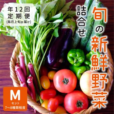 ふるさと納税 能勢町 【発送月固定定期便】『大阪能勢産』べじたぶるぱーくの新鮮野菜詰合せMセット(7〜8種類)上旬全12回