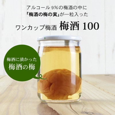 梅酒100　100ml×24本