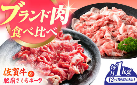 【全12回定期便】佐賀の肉 普段使いセット（佐賀牛・肥前さくらポーク） 【JAさが 杵島支所】[HAM081]黒毛和牛 牛肉 豚肉 しゃぶしゃぶ用 肉