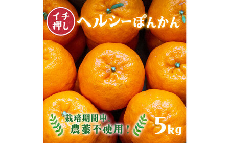 F94【先行予約】ヘルシーぽんかん5kg　柑橘　ジューシー　