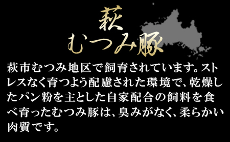 大人の濃厚キーマカレー（10人前）｜HG0038-B