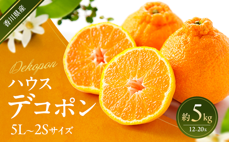 ハウスデコポン 約5kg デコポン でこぽん 柑橘 フルーツ 果物 くだもの 果実 旬の果物 旬のフルーツ 香川 香川県 東かがわ市
