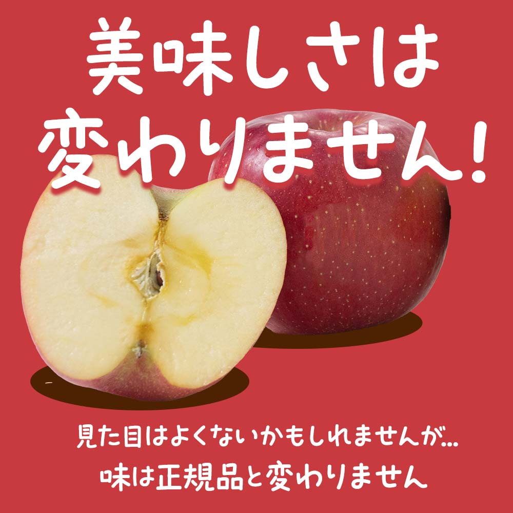 【令和6年産先行予約】 〈訳あり品 家庭用〉 りんご 「サン
