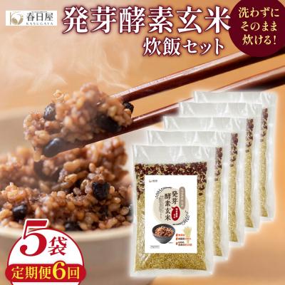 ふるさと納税 玖珠町 【定期便6回】 発芽酵素玄米炊飯セット 3合 (450g) 洗わずそのまま炊ける 無洗米 5袋 米