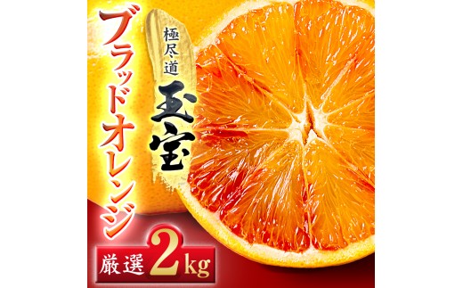 ＜愛媛名産＞玉宝ブラッドオレンジ(タロッコ)　2kg＜A64-82＞【1623965】 YWTY071