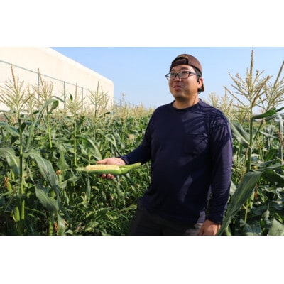 京都府久御山町 とうもろこし バイカラー 10本 朝採れコーン【配送不可地域：離島・北海道・沖縄県・東北】