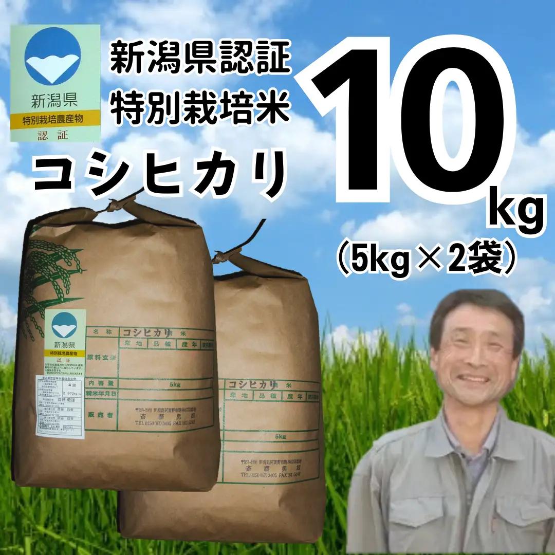 【令和8年産新米予約】特別栽培米 コシヒカリ 10kg  新潟県認証 新潟県 米 こめ コメ 白米 精米 さいとう農園 新米 新米予約 令和8年度産 9月下旬より順次発送1G02036