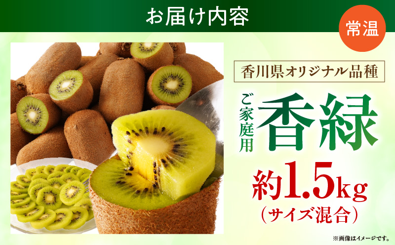 【先行受付】ご家庭用香緑キウイ　約1.5kg【香川県共通返礼品】 | キウイ フルーツ 果物 香川県 香緑 デザート サラダ ヨーグルト トッピング 国産 季節限定 青果物 旬 おすすめ |_mk00