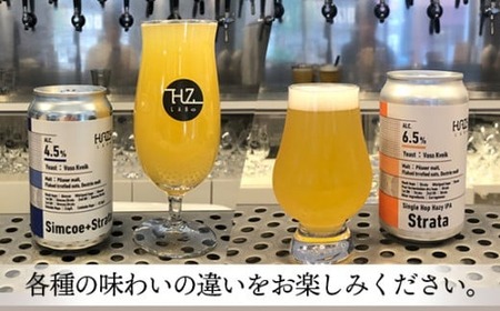 クラフトビール 6本 おまかせ 350ml HAZYLABO | 地ビール 