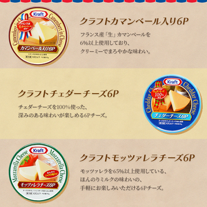 チーズセット 定期便 3ヶ月　家族で楽しむチーズセット 8個セット 贅沢チーズ 詰め合わせ ワインのお供 つまみ おつまみ カマンベールチーズ クリームチーズ モッツァレラチーズ モッツァレラ 加工食