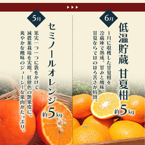 柑橘セット フジカワ果樹園 新季節 みかん 柑橘セット【定期便6回】