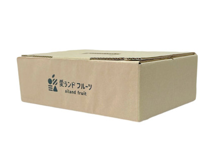 【先行予約】紅まどんな ＜秀品＞ 5～6個入（JA東予園芸またはJA周桑）｜ 紅まどんな 柑橘 愛媛