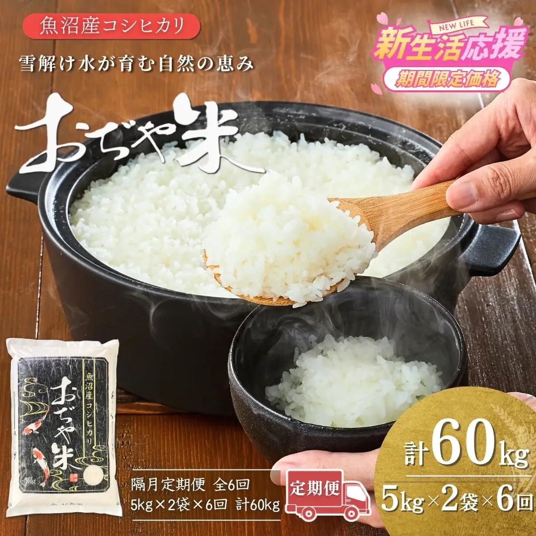 魚沼産コシヒカリ 令和7年 定期便 「おぢや米」 60kg（10キロ×6回 隔月）| 特A 新潟県 小千谷市 魚沼地域