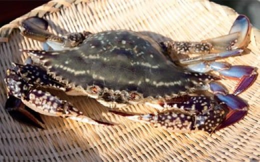 
AA061天然の好漁場・肥沃な海の贅沢な恵み　有明海のカニ
