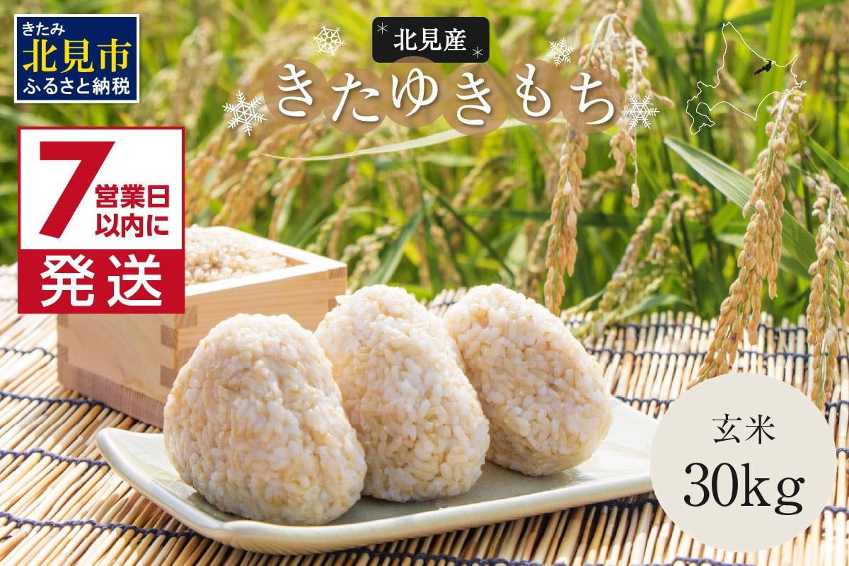 
            令和7年産 北海道産きたゆきもち 玄米 30kg ( 米 お米 モチ米 もち米 餅 赤飯 ぼたもち おはぎ 美味しい 北海道 )【080-0094】
          