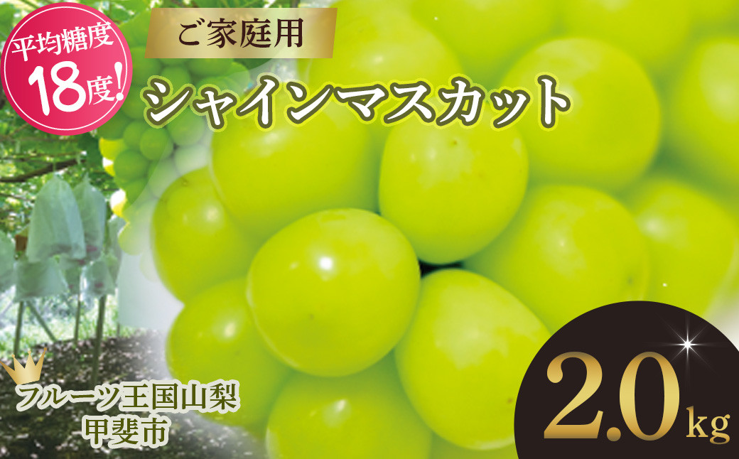 
【2025年発送】 ご家庭用 シャインマスカット 約2.0㎏ 先行予約 先行 予約 山梨県産 産地直送 フルーツ 果物 くだもの ぶどう ブドウ 葡萄 シャイン シャインマスカット 新鮮 人気 おすすめ 国産 不揃い 訳あり わけあり ワケアリ 山梨 甲斐市 糖度18度～糖度20度 AN-131
