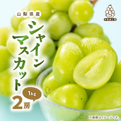 【2026発送】厳選　池田青果のシャインマスカット2房　1kg ふるさと納税【配送不可地域：離島・沖縄県】