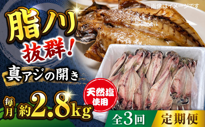 
            【全3回定期便】漁師町 佐島 真アジの開き 約2.8kgセット 干物 横須賀  国産 魚 大人気 定期 冷凍 【石川水産】 [AKCX006]
          