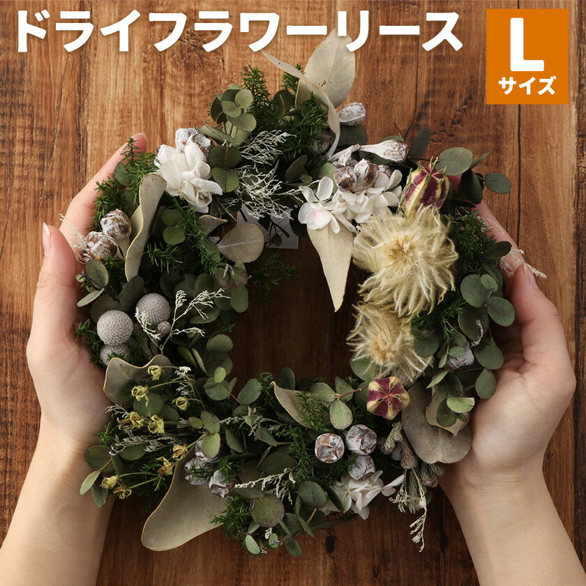 【ふるさと納税】ドライフラワーリース Lサイズ ドライフラワー リース デザインおまかせ フラワーアレンジ インテリア 花 プレゼント ドライフラワー 合同会社クリール《90日以内に出荷予定(土日祝除く)》熊本県 菊池市 送料無料