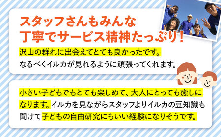 南島原 イルカウォッチング  4人用チケット / イルカ 観光 南島原市 / 南島原イルカウォッチング[SAE002]
