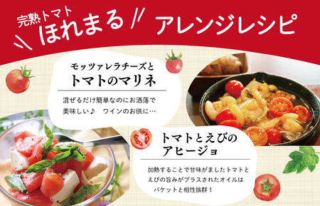 明和町産 完熟 トマト ほれまる 1kg ミニトマト 朝採り 新鮮 生鮮 野菜 あっさり