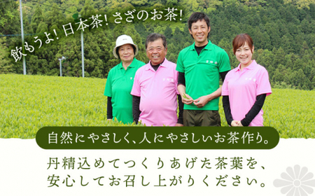 【口あたりまろやか】さざの有機栽培茶 宝緑 100g×3本詰め【宝緑園】[QAH004]