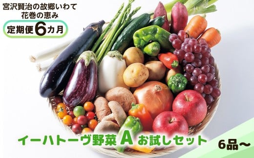 【定期便６ヶ月】 イーハトーヴ野菜A お試しセット 6品～ 【294】